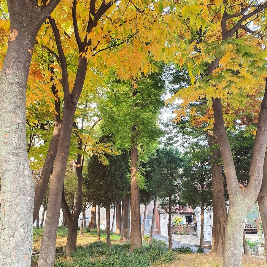 수봉마을쉼터