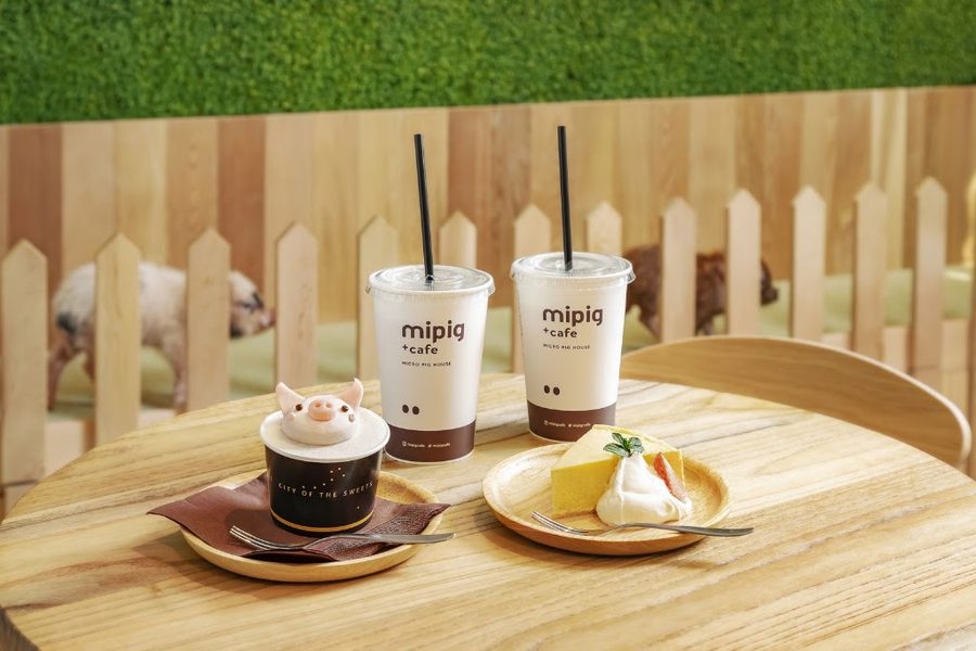 mipig cafe 目黒店