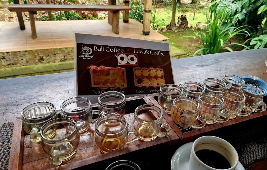 Jati Wangi Luwak Coffee