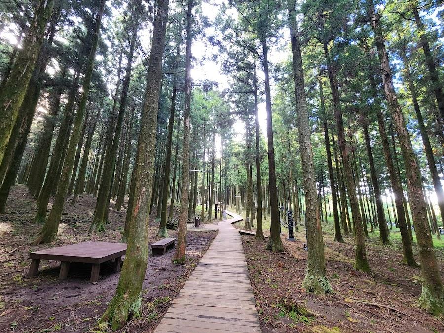 Jeju Jeolmul Natural Recreation Forest