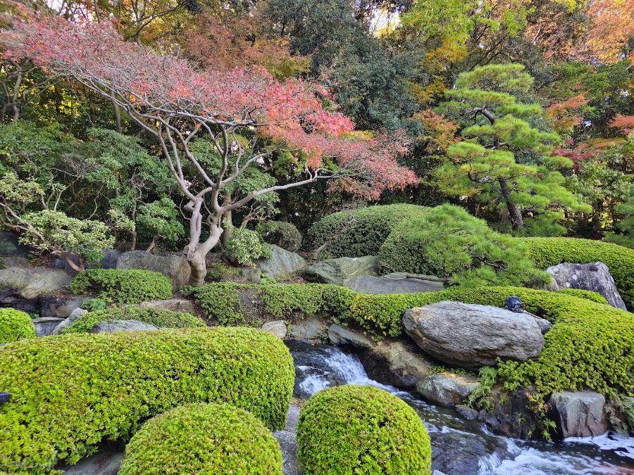 大濠公園 日本庭園
