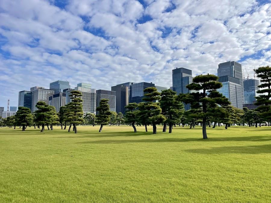 Kokyo Gaien National Garden