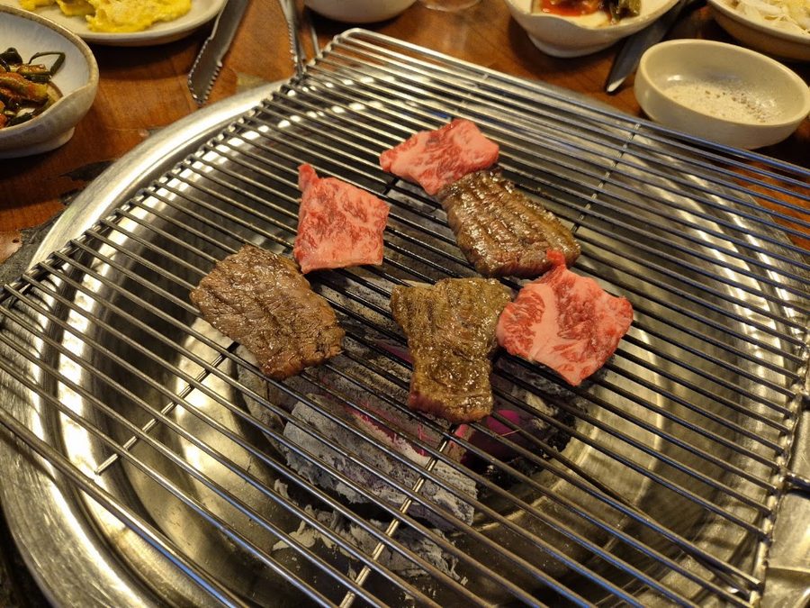 별들의고향