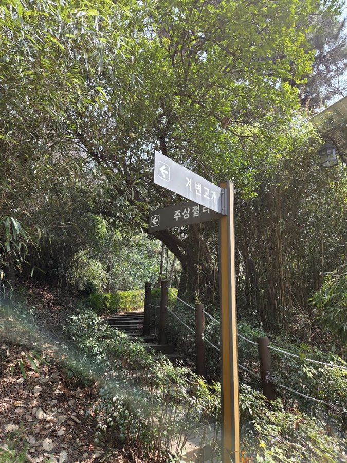 チャンム公園