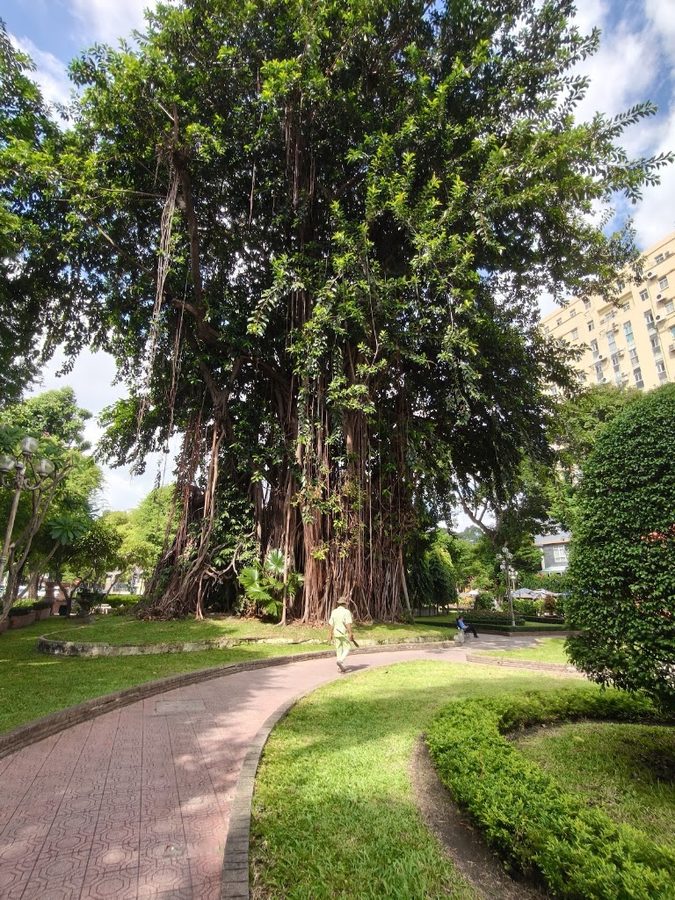 Bach Tung Diep Park