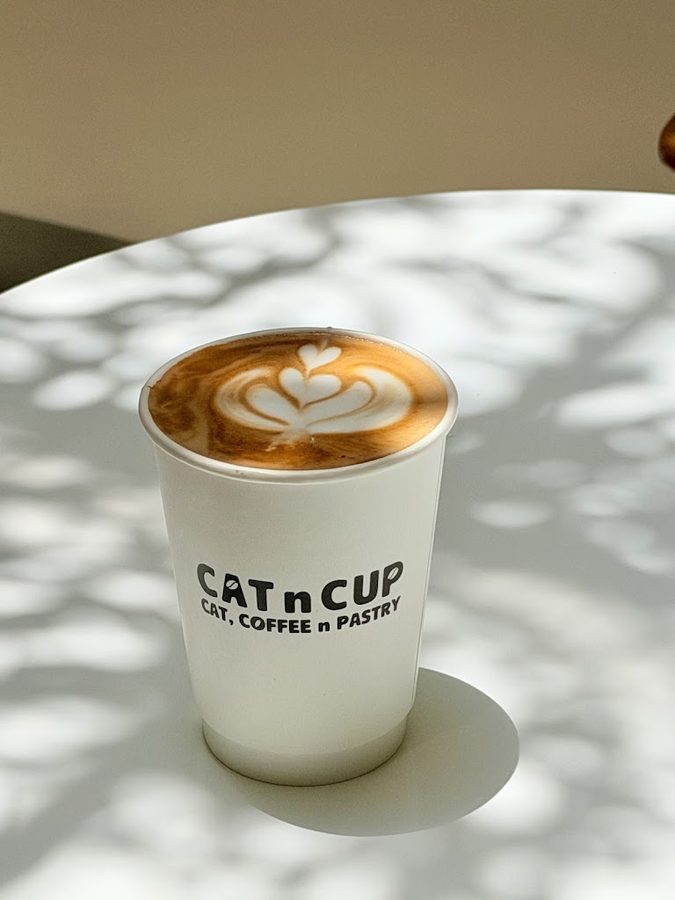 CAT AND CUP