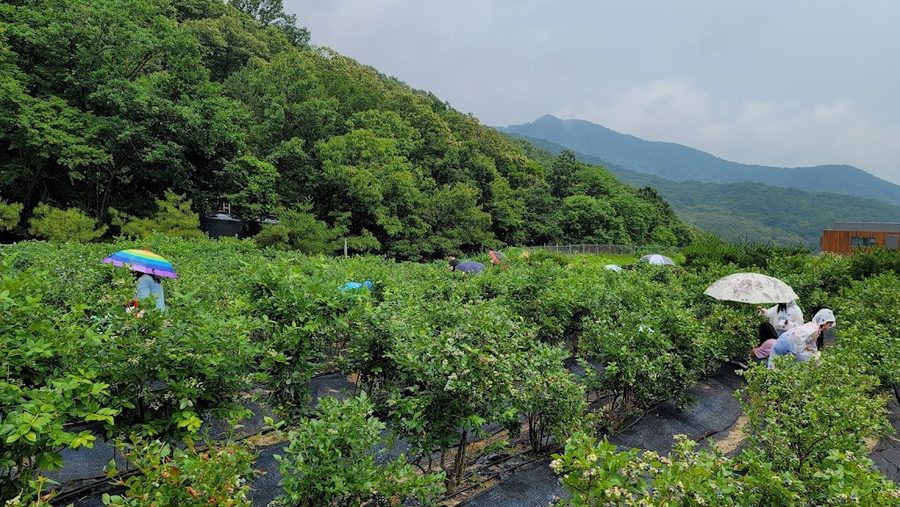 別內Farm School