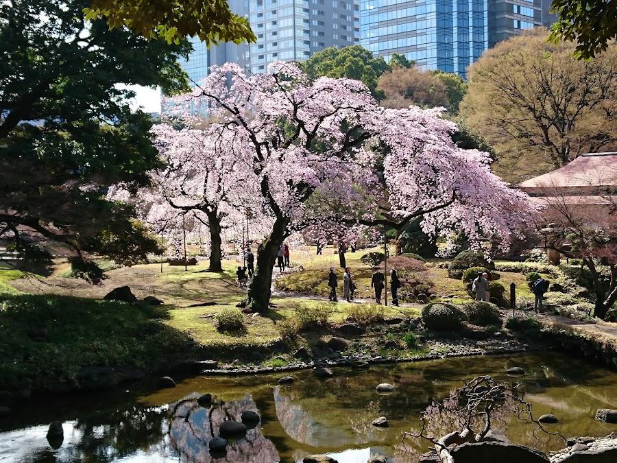 小石川後樂園