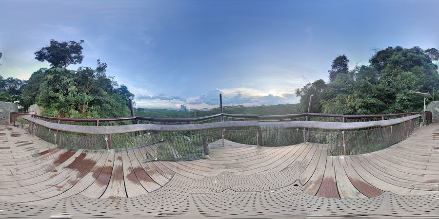 Colugo Deck