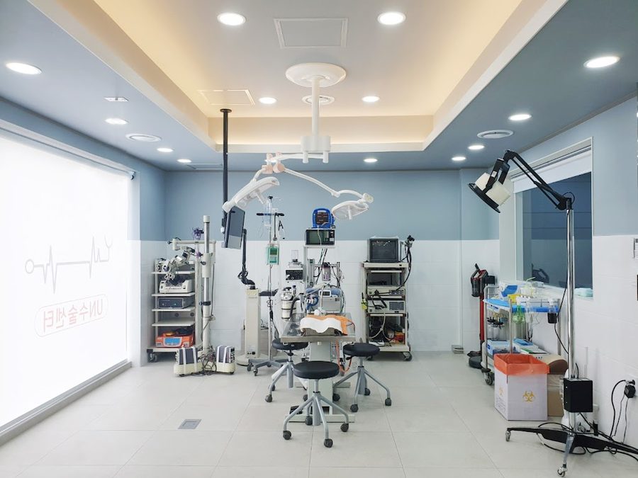 Busan 24 Hour UN Animal Medical Center
