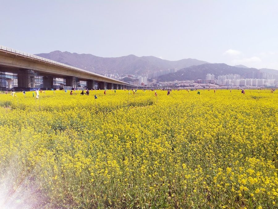 亀浦大橋
