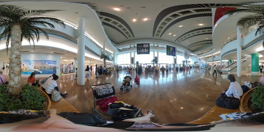 Yoshinoya & Hanamaru Udon Naha Airport