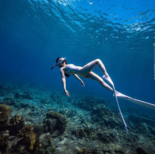 Jeju Blue In Free & Scuba Diving Seoul
