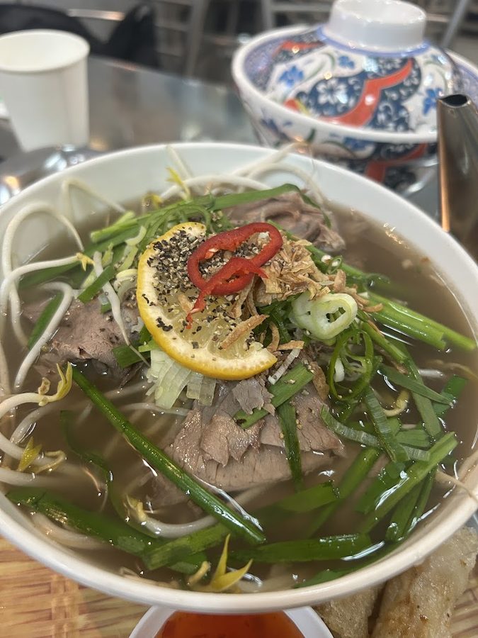 앤디스포