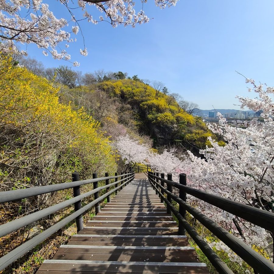 응봉산