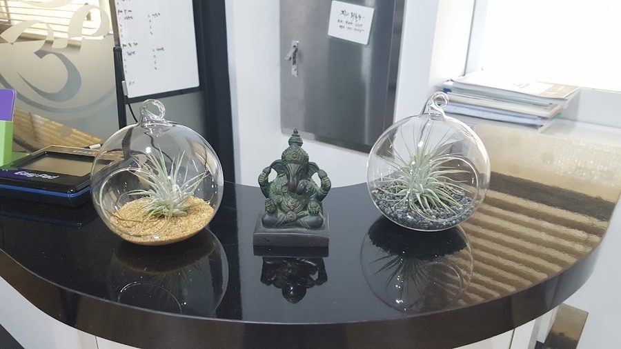 日月辣魚湯