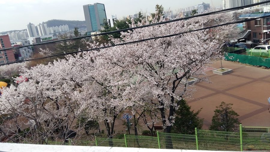 비룡쉼터