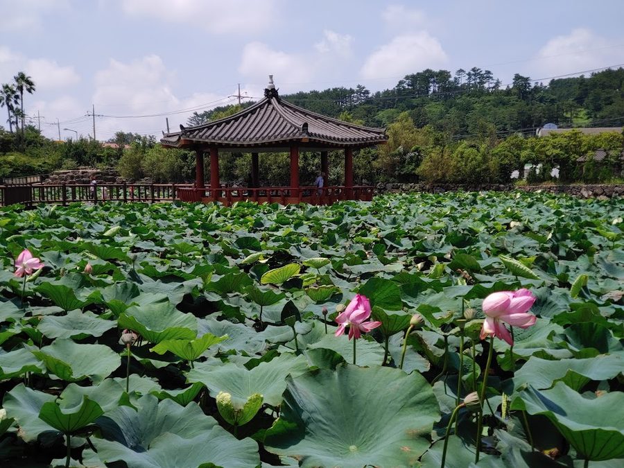 연화지