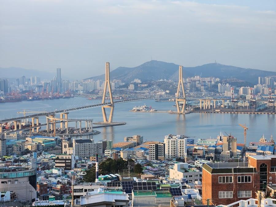청학배수지전망대