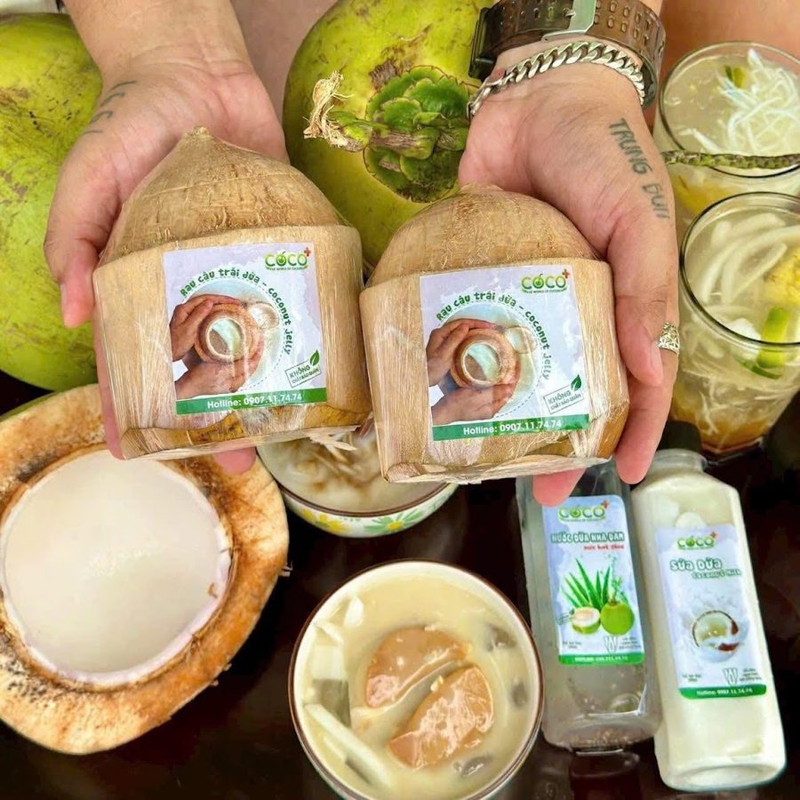 THẾ GIỚI DỪA - Đồ Uống Giải Nhiệt Dừa Tươi Nguyên Chất