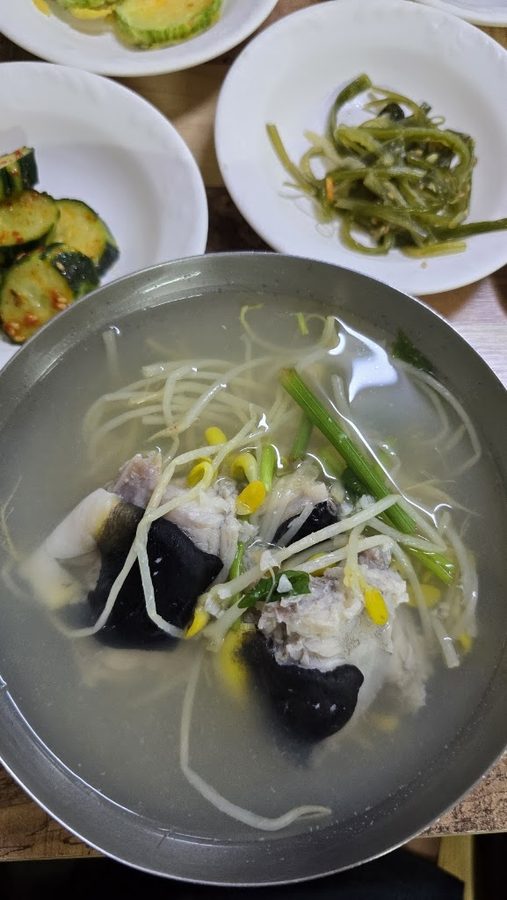 돌고래할매복국