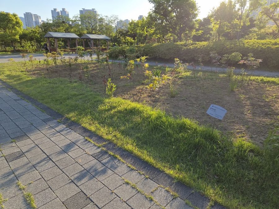 시민공원 시민꽃밭