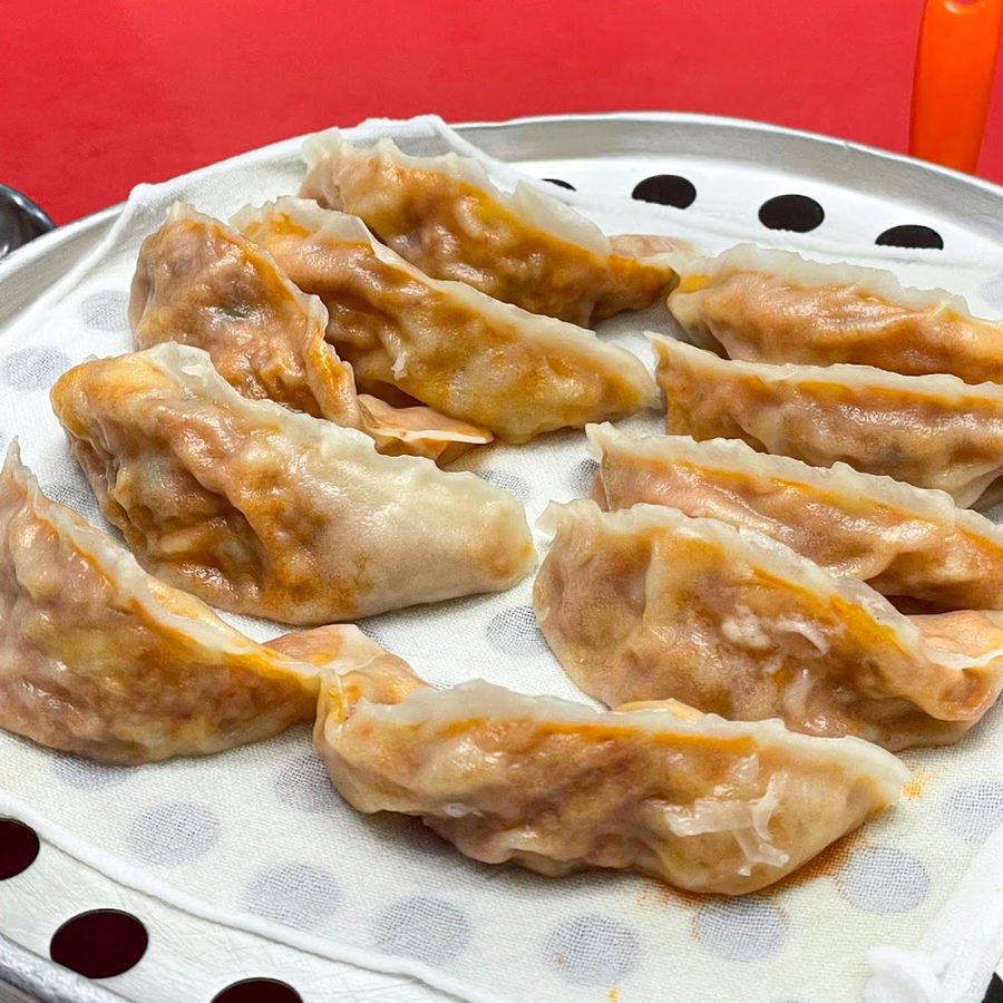Mapo Mandu