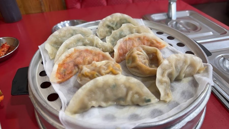 Mapo Mandu