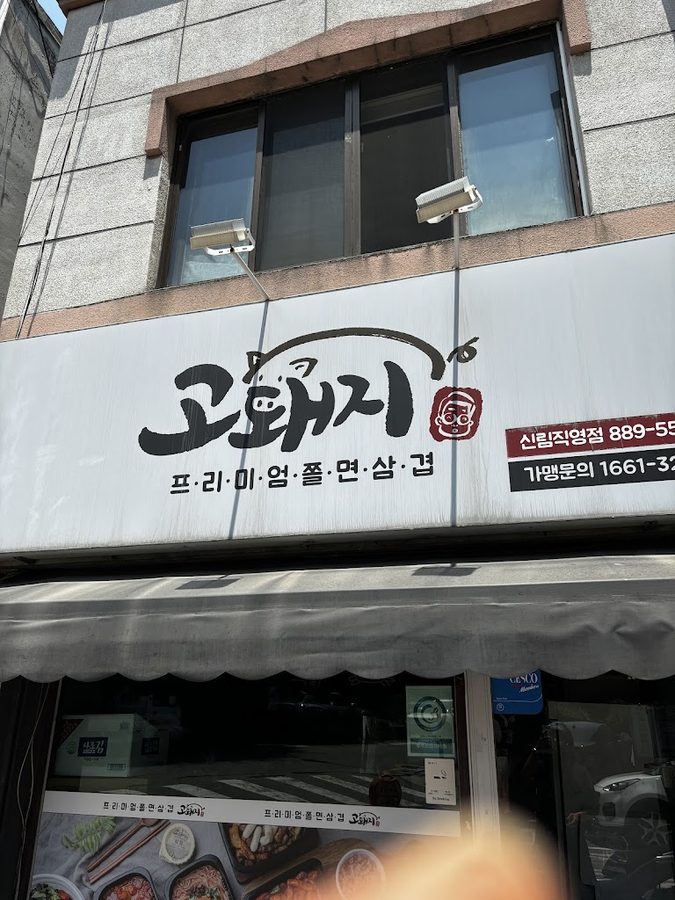 고돼지