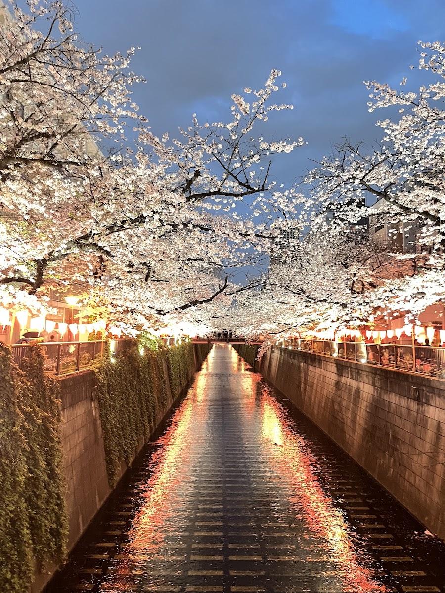 目黑川