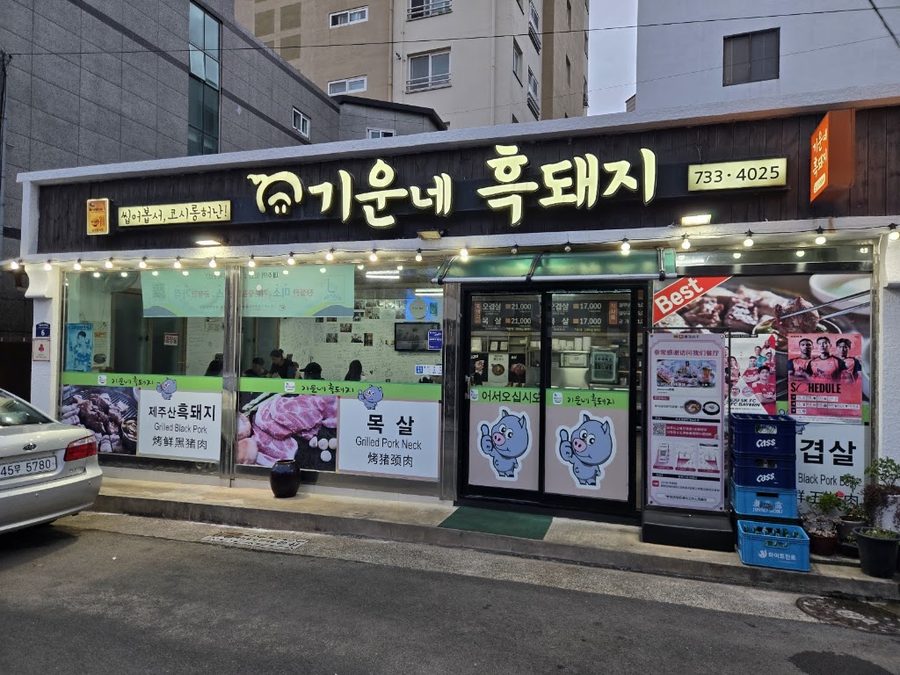 기운네 흑돼지