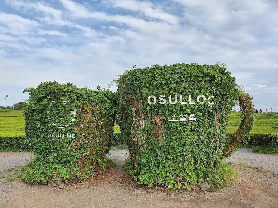 Osulloc Tea Museum
