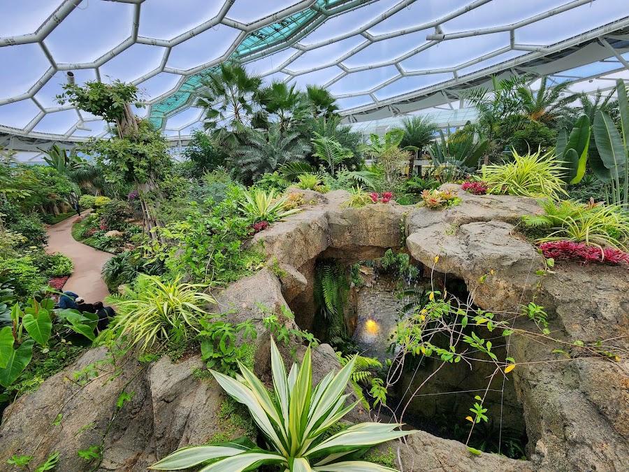 プチョン湖植物園 スピア