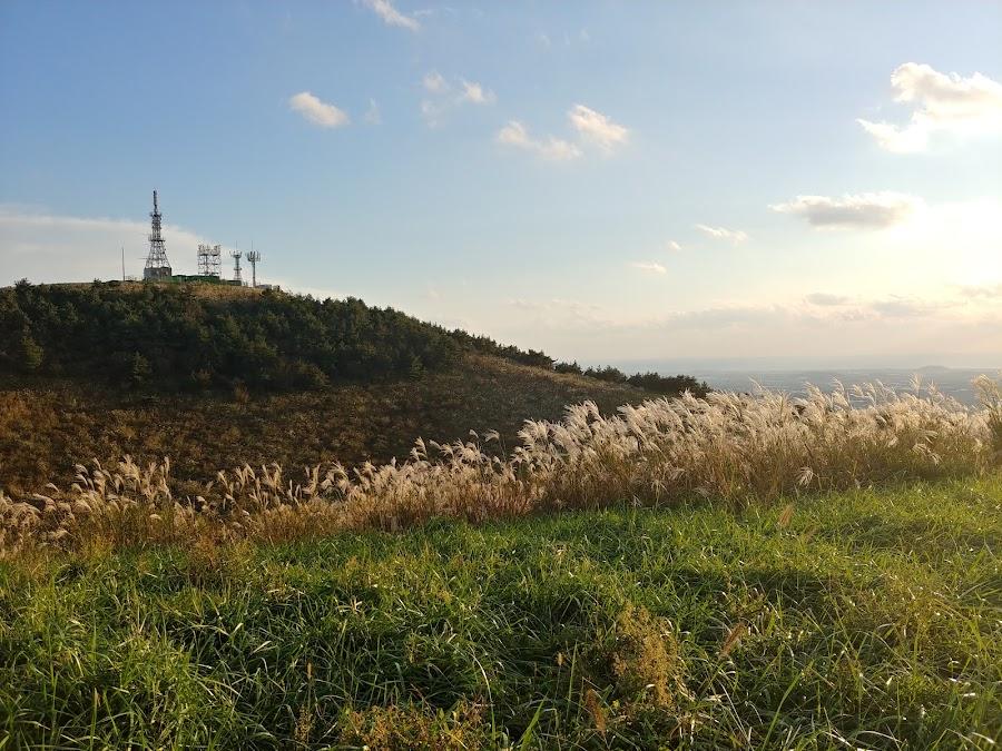 今岳