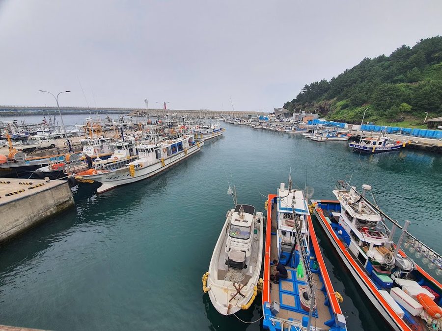 Jeju Dodu Port