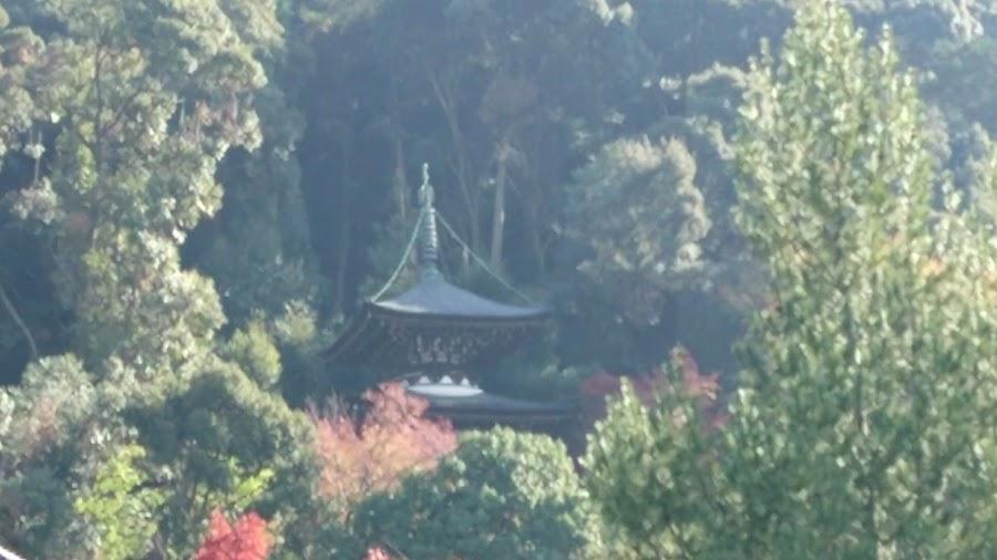 永観堂 禅林寺