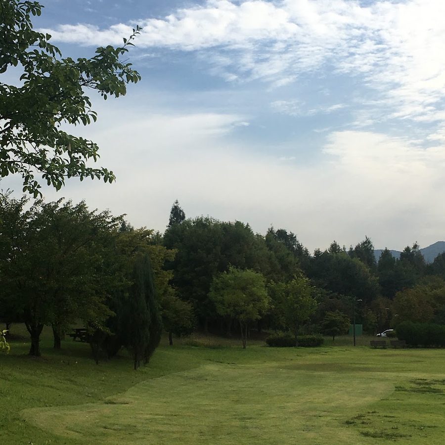 상옥체육공원