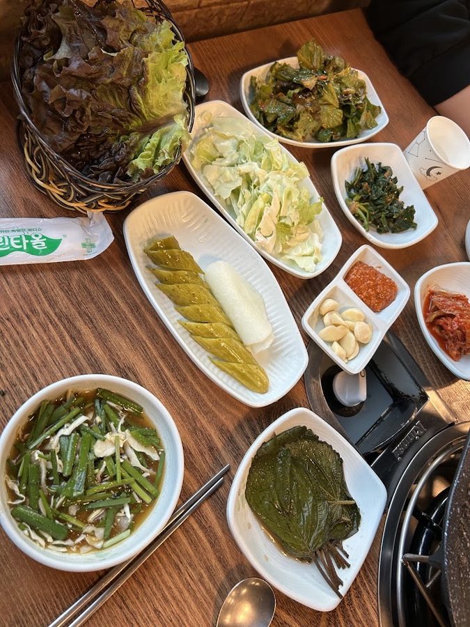 황금오리