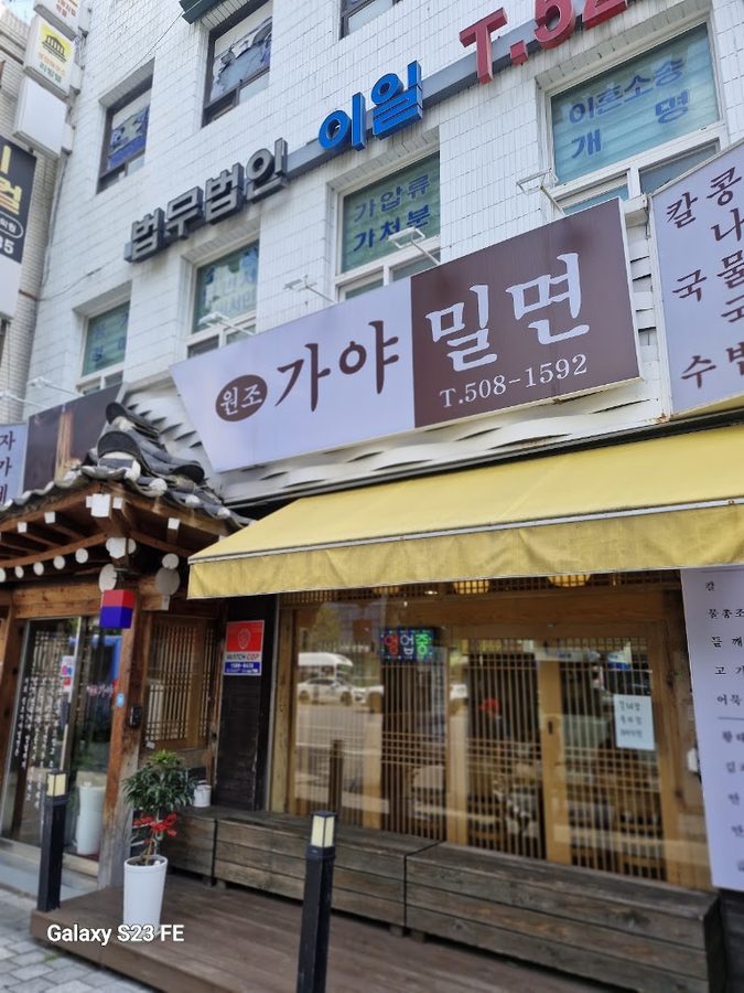 元祖伽倻小麥冷麵