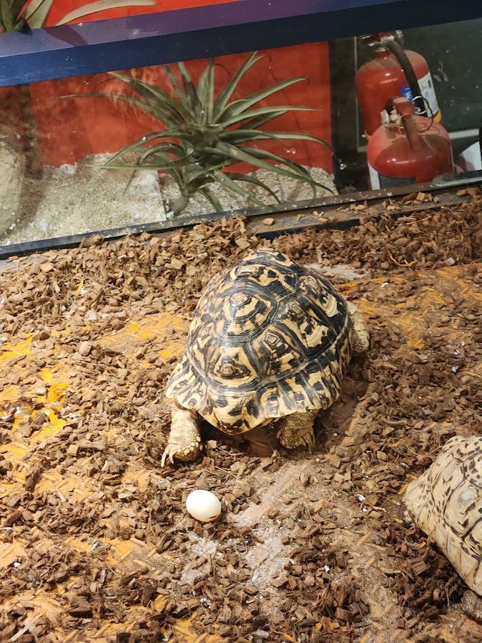 Zoorarium Hanam