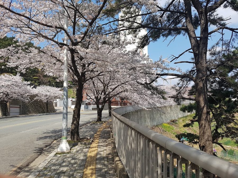 影島区庁