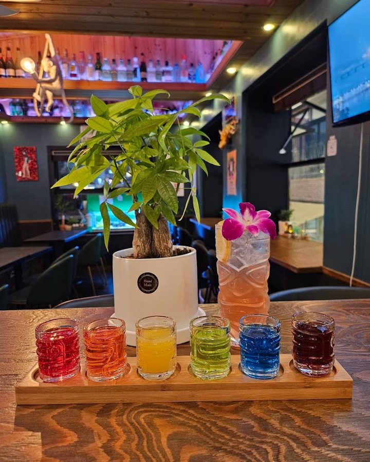 bar JUNGLE