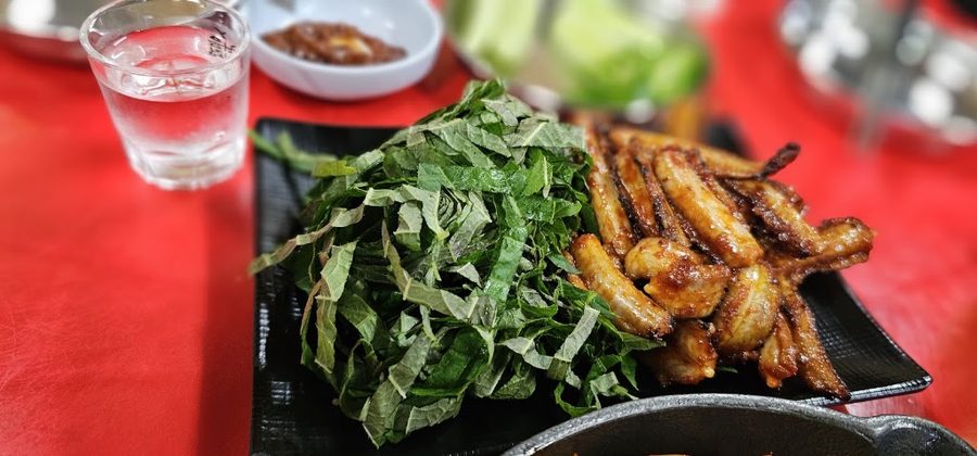 Insaeng Yeokjeon Pojangmacha