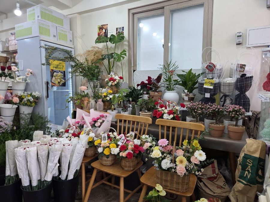 Busan Flower Shop Forest Jin
