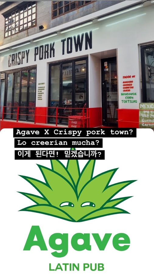 Agave Seoul