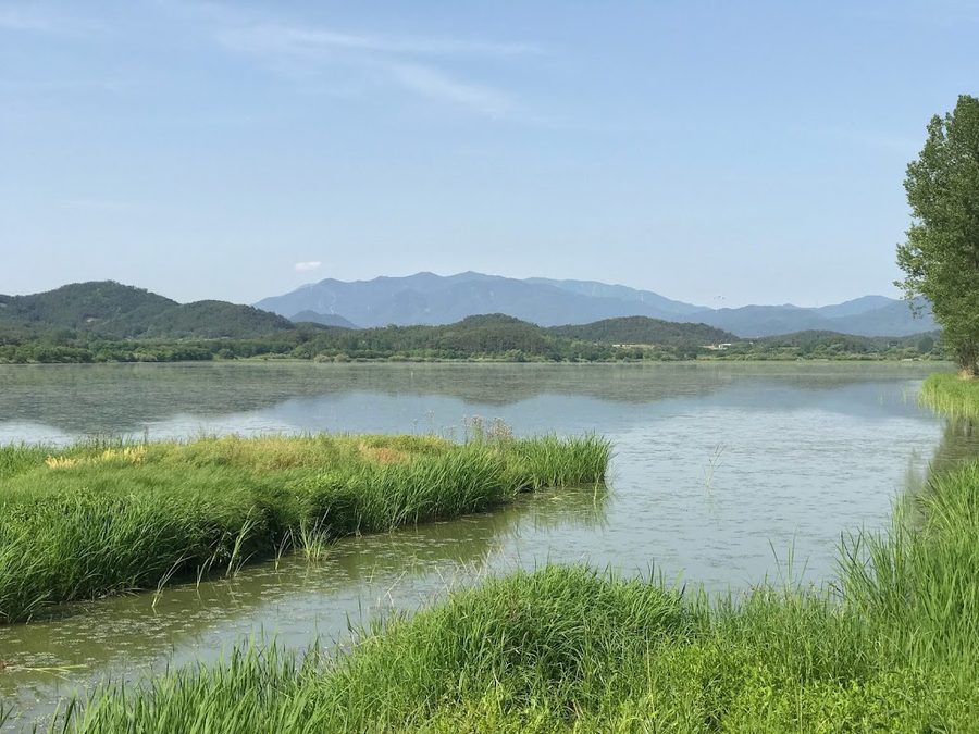 Upo Wetland