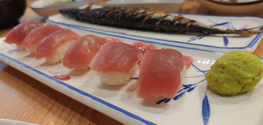 홍도참치