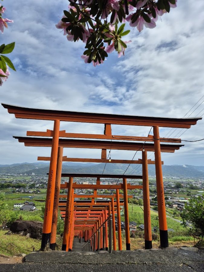 Nozoki Inari