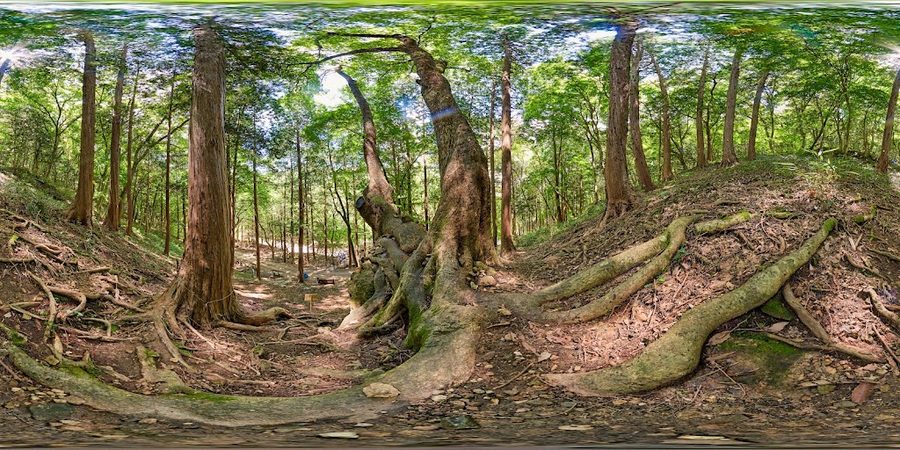 德龍山 佛會寺