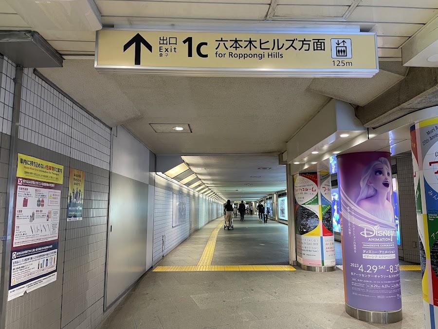 六本木